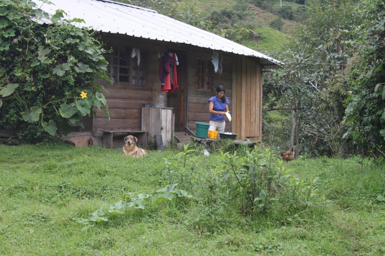Patricia And Ned'S Cloud Forest Farm Cotacachi Esterno foto