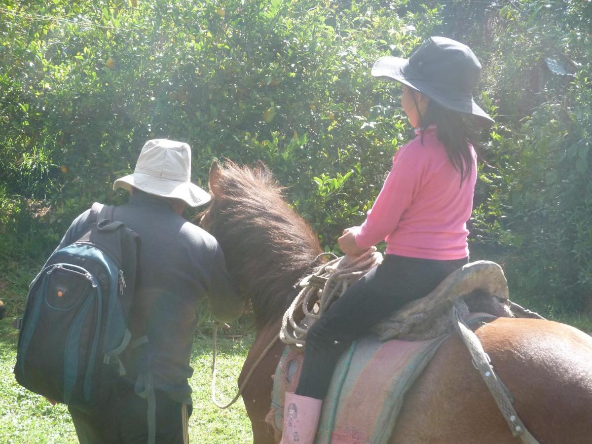 Patricia And Ned'S Cloud Forest Farm Cotacachi Esterno foto