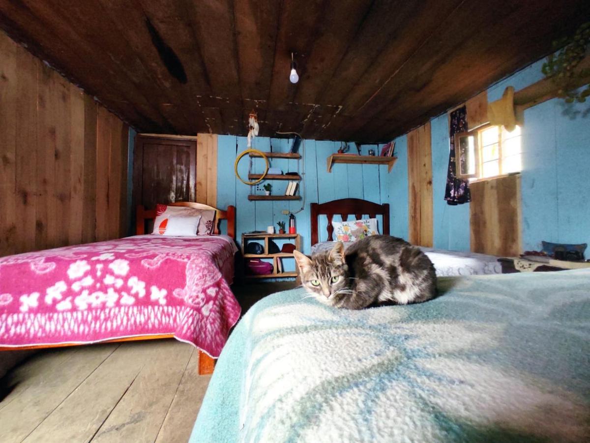 Patricia And Ned'S Cloud Forest Farm Cotacachi Esterno foto